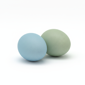 Huevo Azul/Verde (interno)